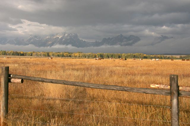 Grand Tetons 