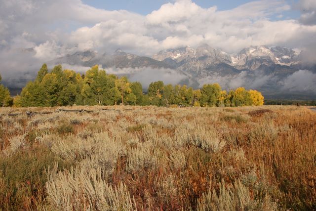 Schwabacher Road