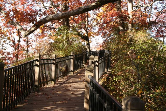 Walkway to Caesar's Head Overlook - Greenville County, SC