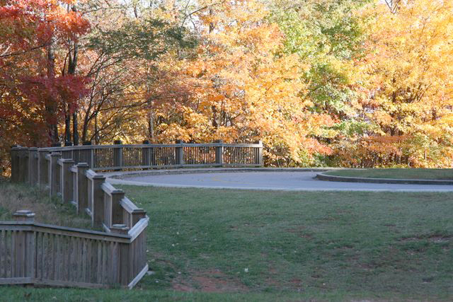 Fall Colors - Whitewater Falls area