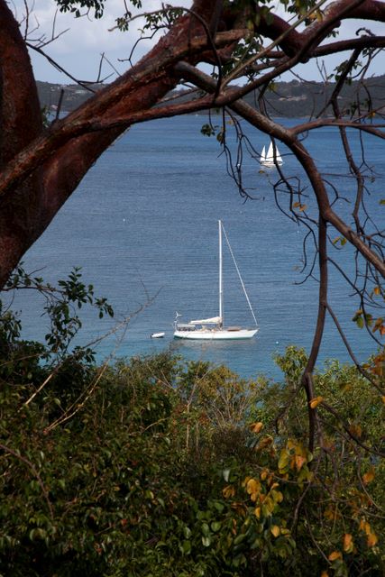 Sailboat on Caneel Bay 