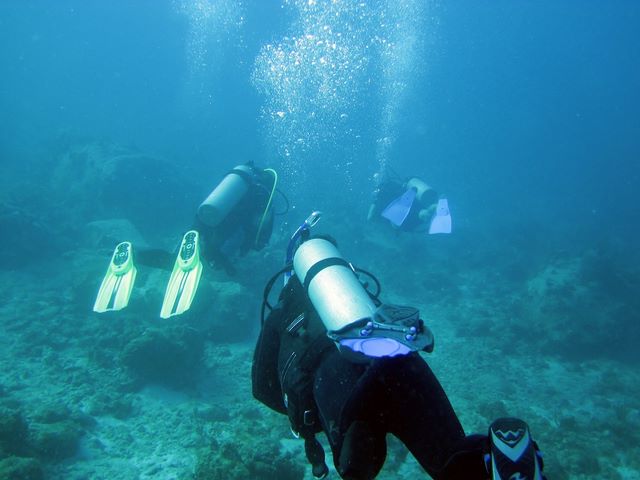 Scuba diving in the VI National Park