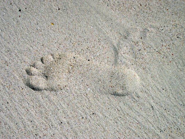 Footprint in the sand 