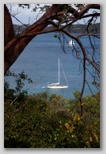 Sailboat on Caneel Bay 
