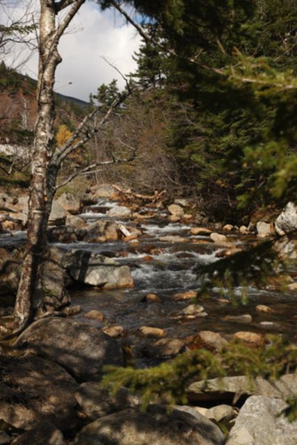 Sabbaday Creek 