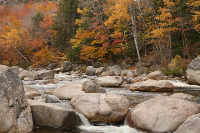 Swift River
