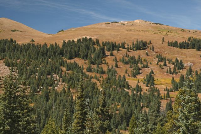 Outside Breckenridge CO 