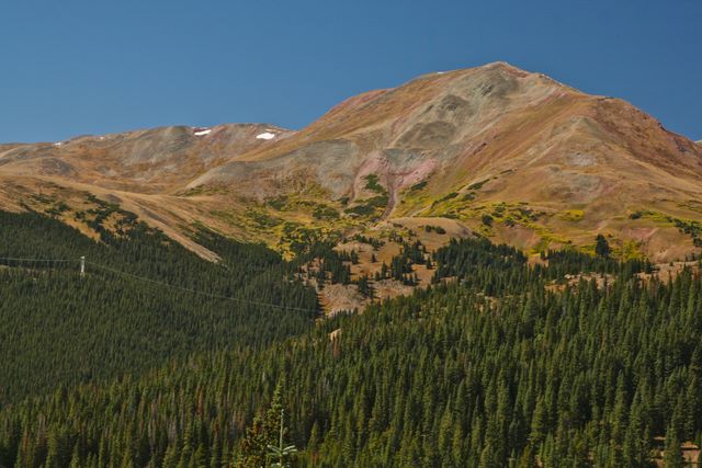 Tree Line (no trees)