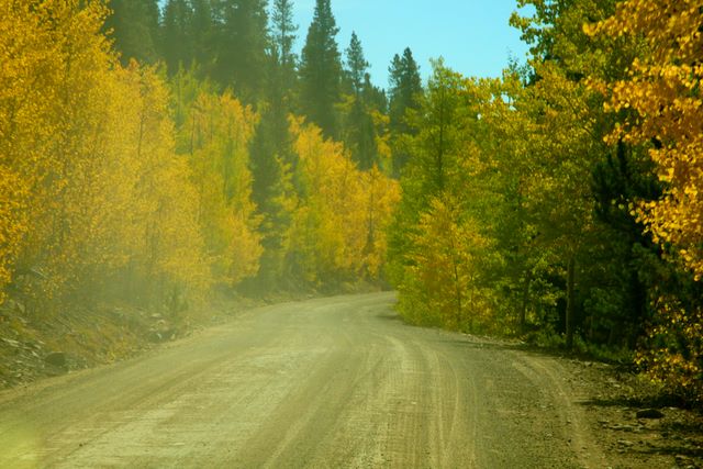 Boreas Pass Road 