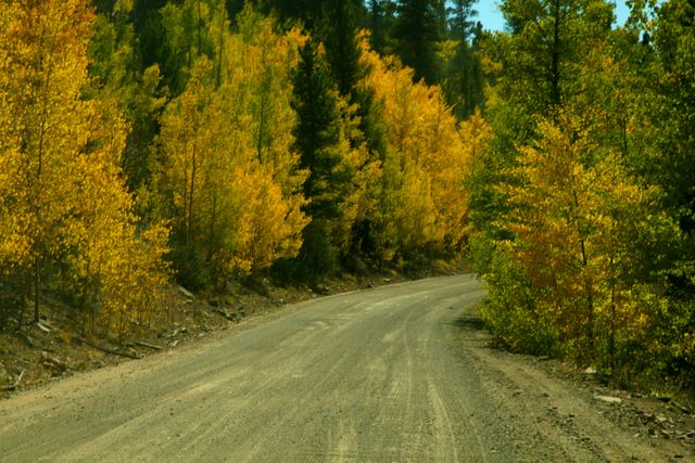 Boreas Pass Road
