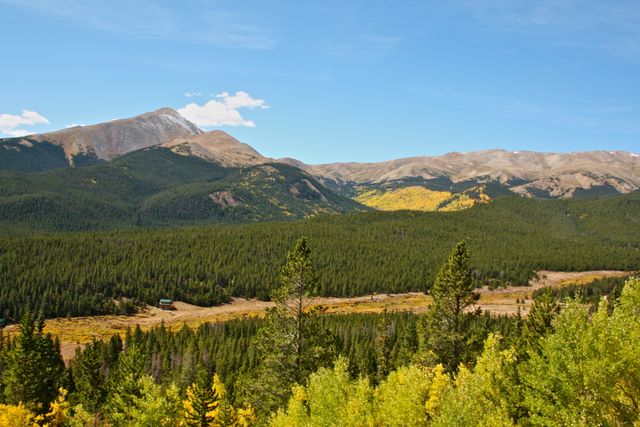 Mt. Silverheels 