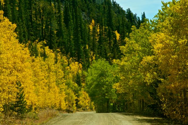 Boreas Pass Road 