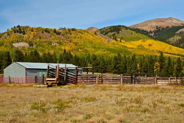 Local cattle barn 