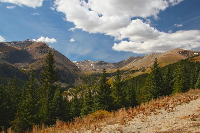 Along the Boreas Pass Road 