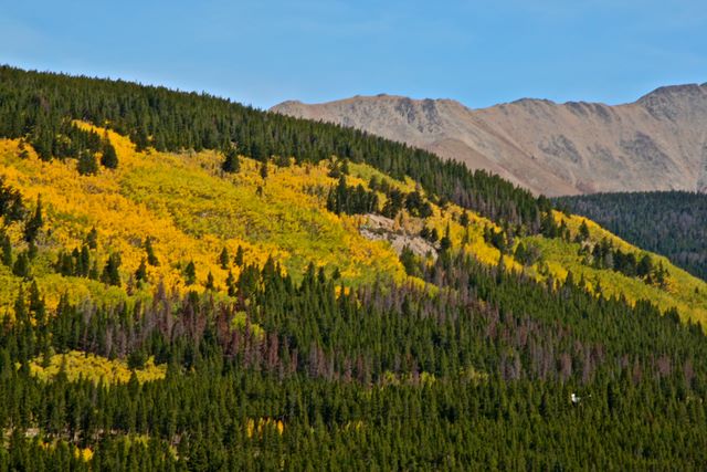 Outside Breckenridge Colorado 