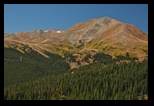Tree Line (no trees)