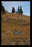 Hard climb with a bike 