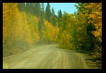 Boreas Pass Road 
