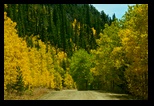 Boreas Pass Road 