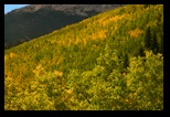 Along the Boreas Pass Road 