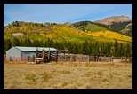 Local cattle barn 