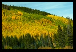 Along the Boreas Pass Road 