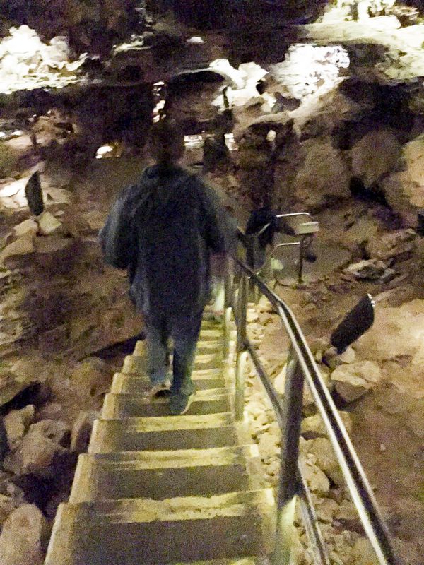 Stairs down into Wind Cave 