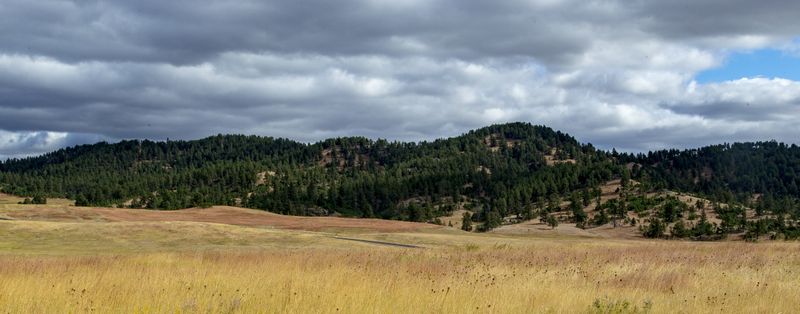 Red Valley 