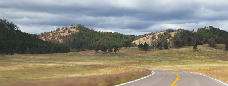 Prairie Grass along Hwy 87 