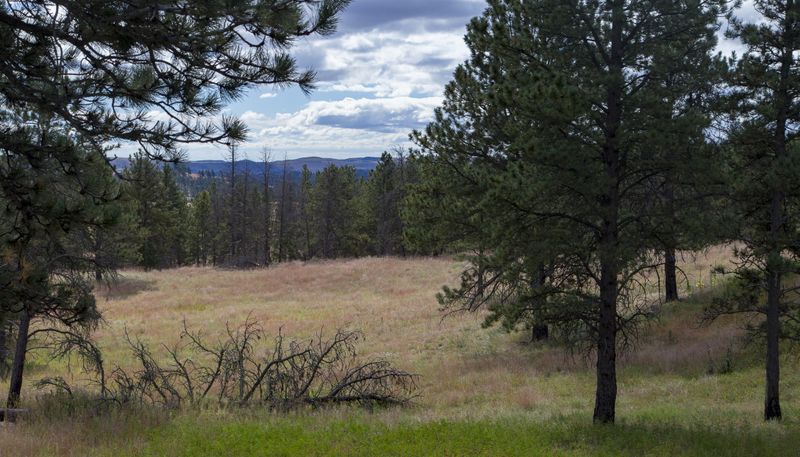 Grasslands above the Cave 