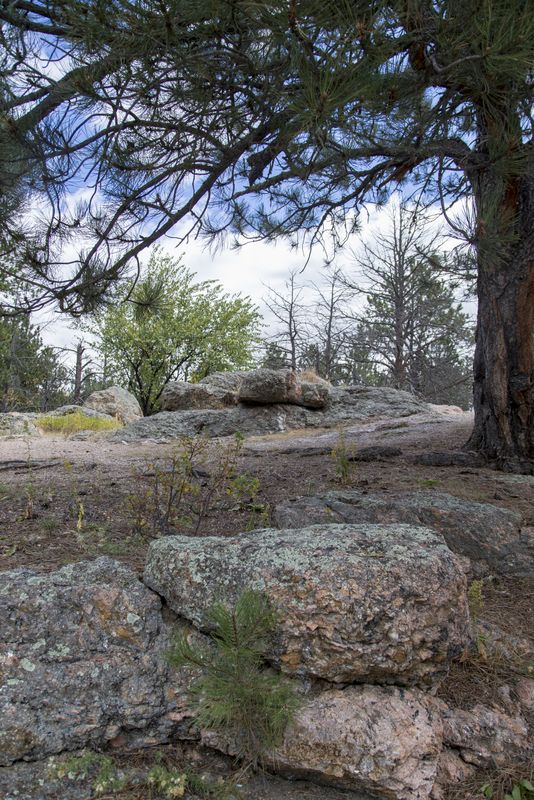 Rankin Ridge 