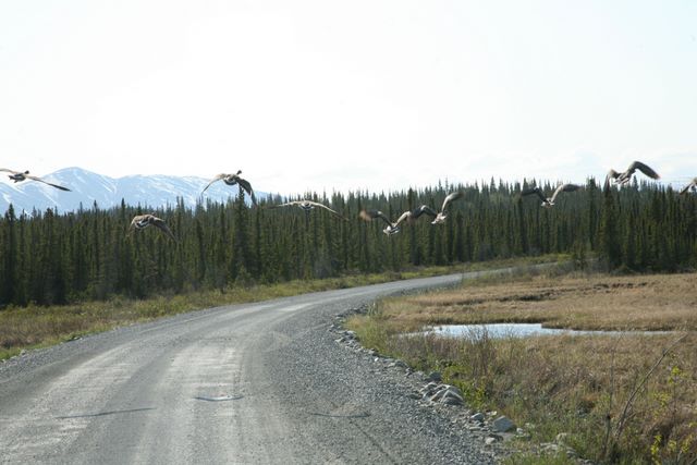 Kennecott Road