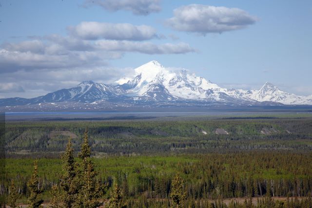 Mt. Drum