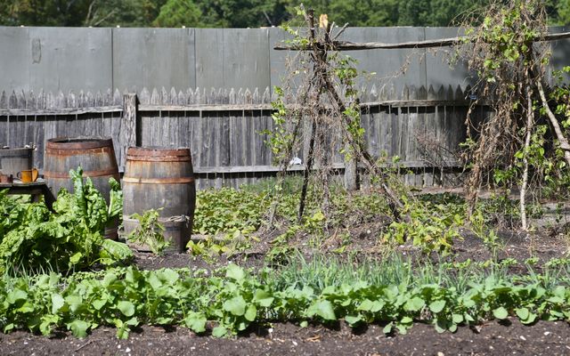 Yorktown Victory Center -- Garden