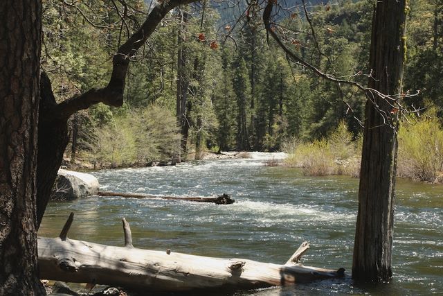 South Fork Tuolumne River 