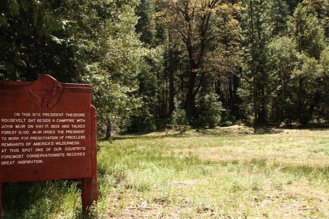 Historic Meadow 
