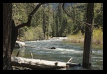 South Fork Tuolumne River 