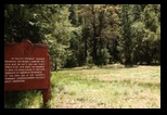 Historic Meadow 