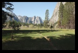 Yosemite Meadow 