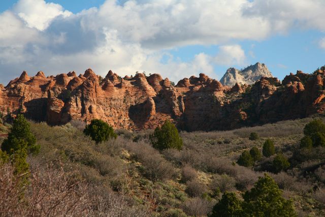 Zion NP -- Scenic View 