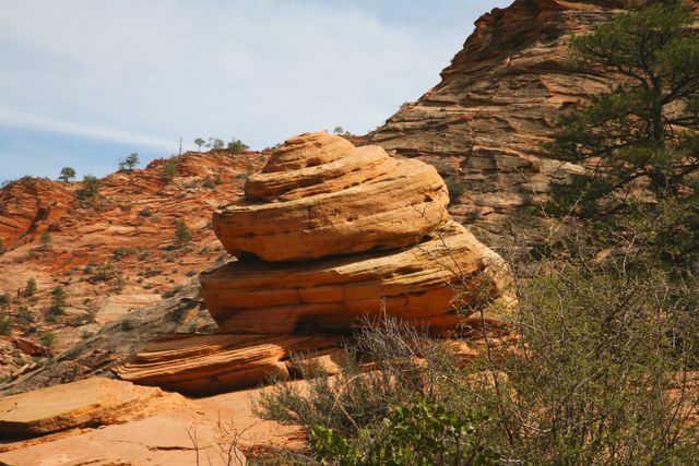 Zion NP -- Red Canyon Area 