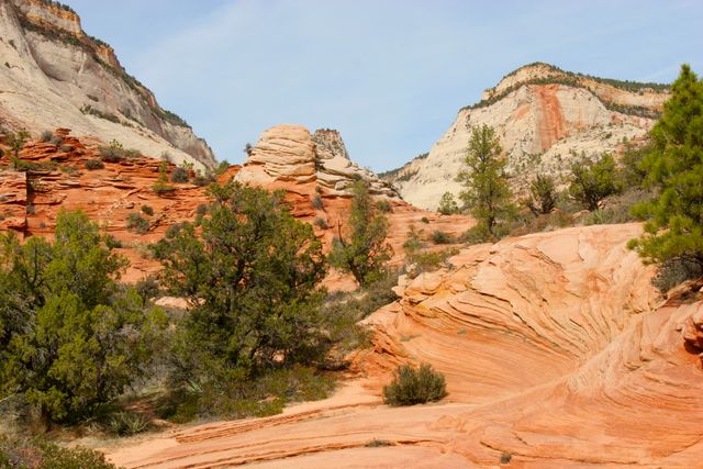 Zion NP -- Red Rock from Mount Carmel Highway 
