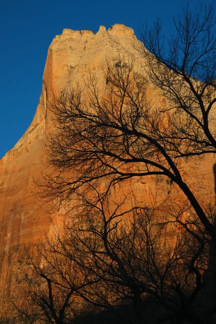 Zion NP -- Red Rock 