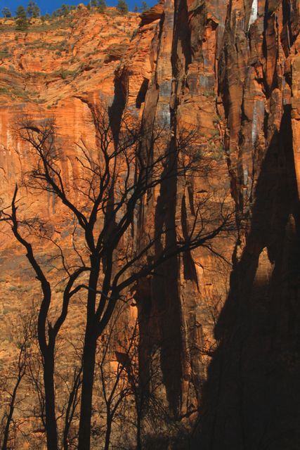 Zion NP -- Red Rock 