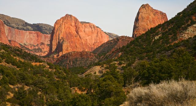 Zion NP -- Kolob Canyon
