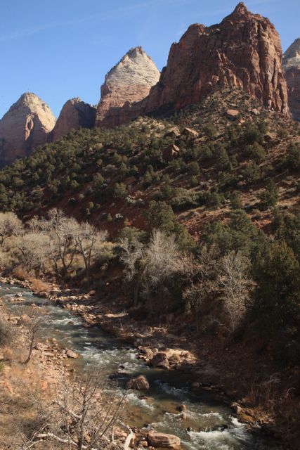 Zion NP -- Virgin River 