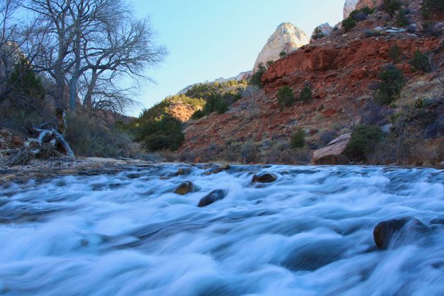 Zion NP -- Virgin River