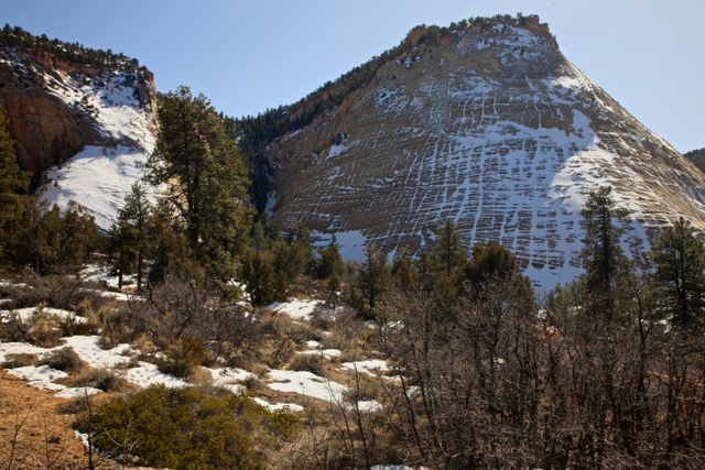 Zion NP -- Checkerboard Mesa 