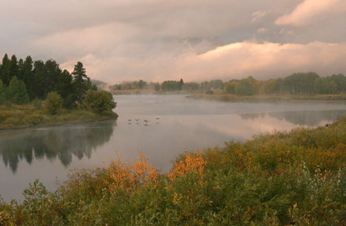 Snake River at Oxbow Bend - Grand Tetons National Park - WY